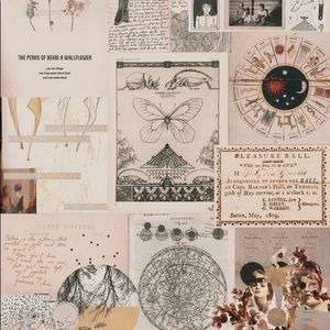 Meet your Posher, Ayesha